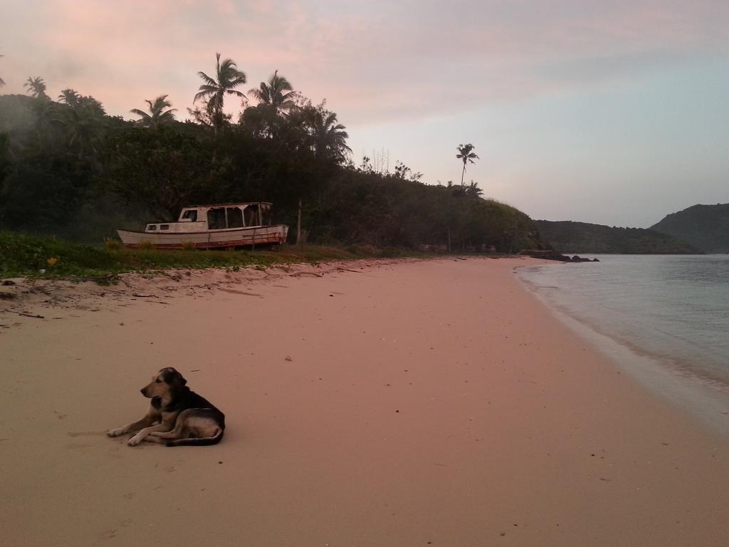 Yasawa Homestays Naisisili Luaran gambar