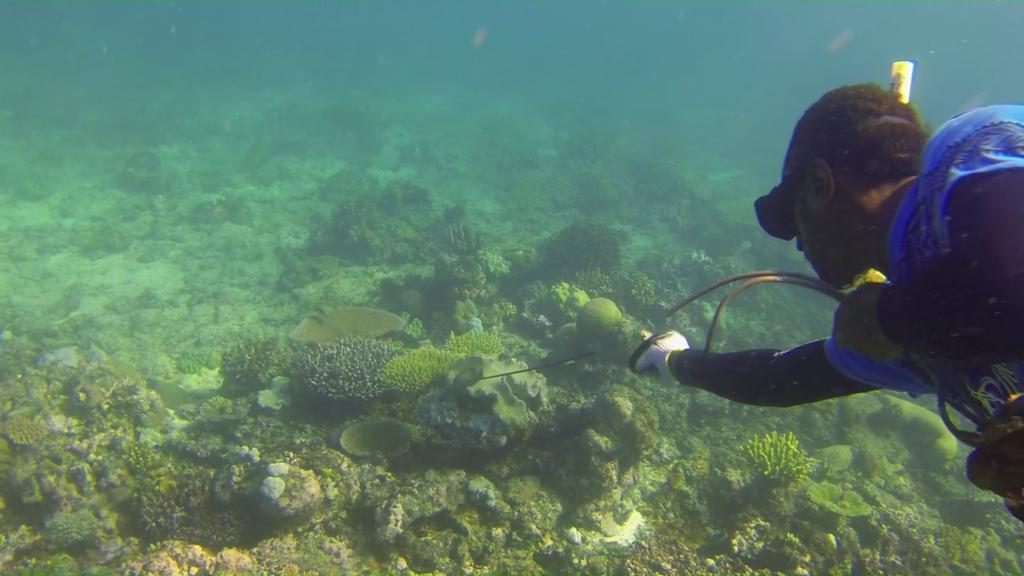 Yasawa Homestays Naisisili Luaran gambar